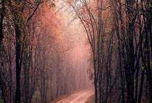 黄裕辉干的好事,黄裕光出狱