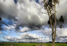 个人兼职项目,个人兼职做什么