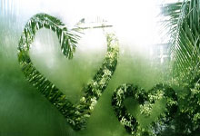 简历表格个人简历电子版免费空白,简历表格 个人简历电子版通用