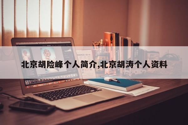 北京胡险峰个人简介,北京胡涛个人资料