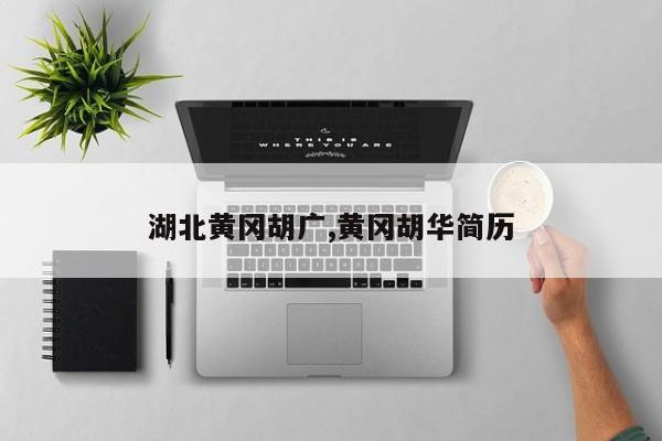 湖北黄冈胡广,黄冈胡华简历