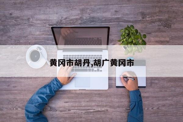 黄冈市胡丹,胡广黄冈市